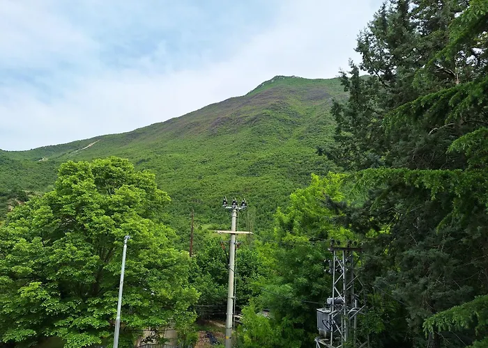 Boho In Canyon Matka